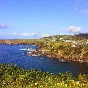 Meet your Posher, Elisha